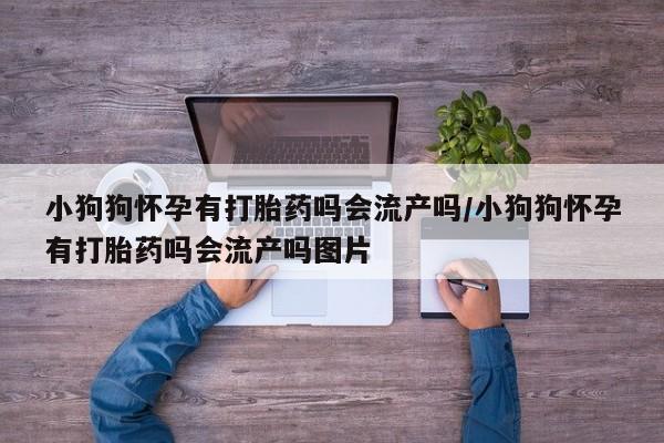 正品私人卖打胎药微信小狗狗怀孕有打胎药吗会流产吗/小狗狗怀孕有打胎药吗会流产吗图片
