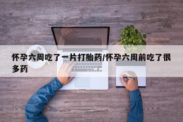 正品私人卖打胎药微信怀孕六周吃了一片打胎药/怀孕六周前吃了很多药