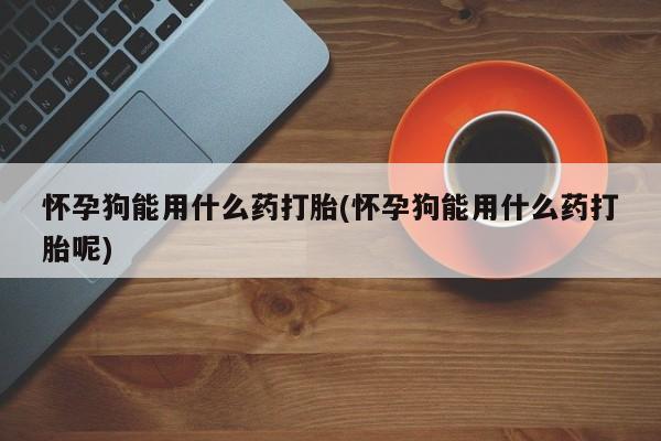 正品私人卖打胎药微信怀孕狗能用什么药打胎(怀孕狗能用什么药打胎呢)