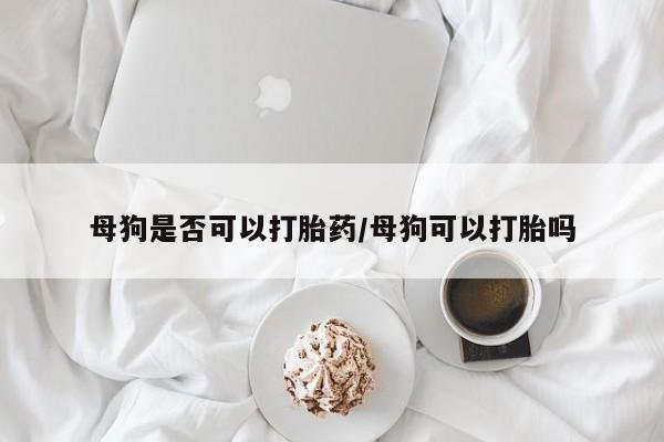 正品私人卖打胎药微信母狗是否可以打胎药/母狗可以打胎吗